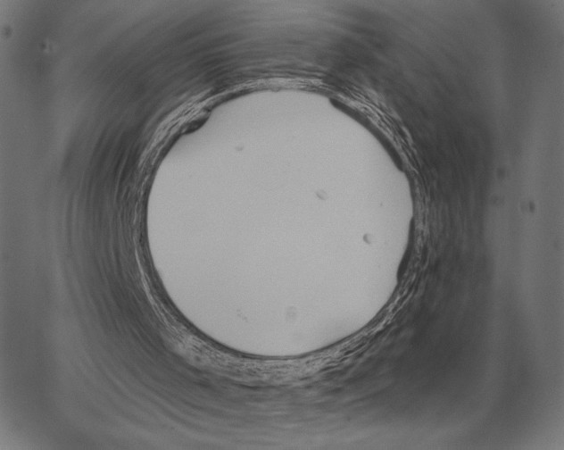 X0000062890001200602101753