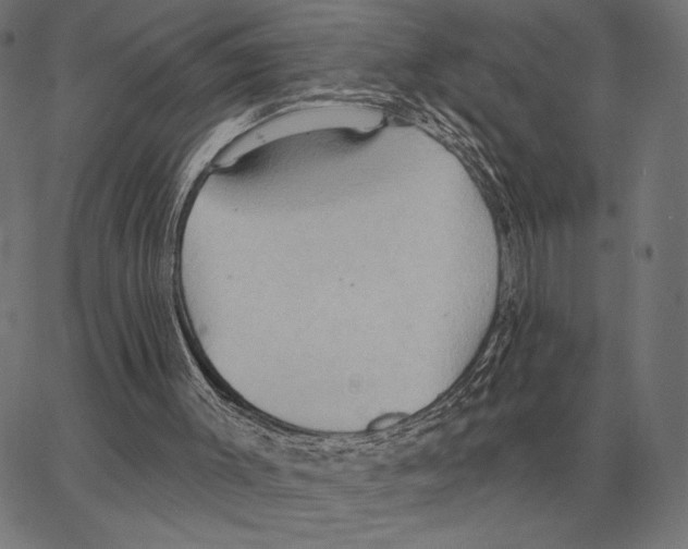 X0000062890003200602101753