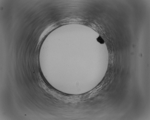 X0000062890004200602101753