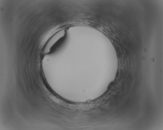 X0000062890005200602101753