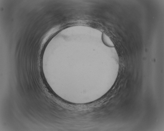 X0000062890006200602101753