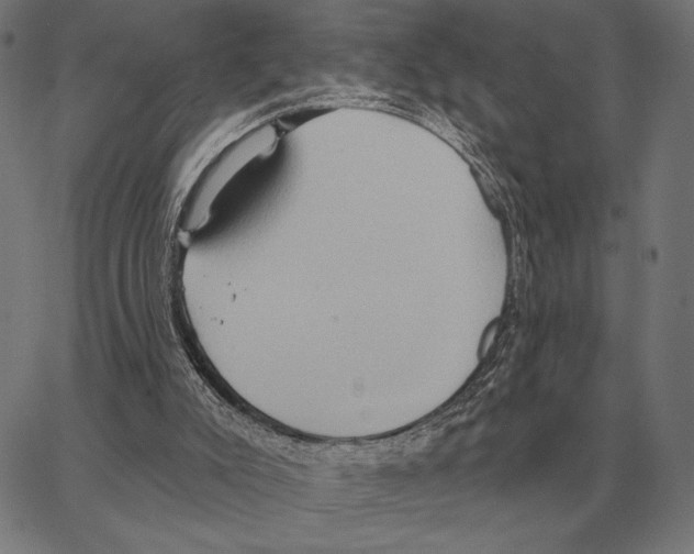 X0000062890007200602101753