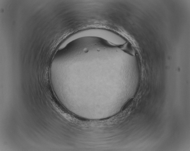 X0000062890009200602101753