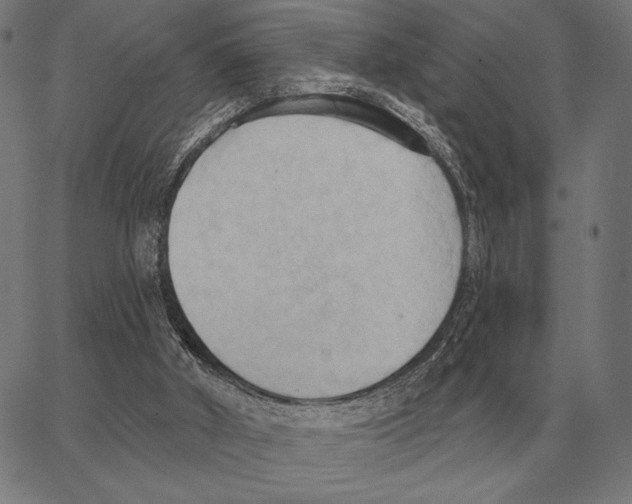 X0000062890010200602101753