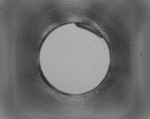 X0000062890011200602101753