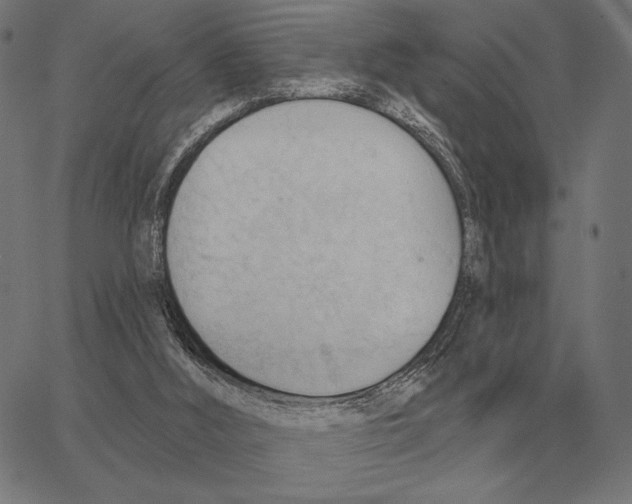 X0000062890012200602101753