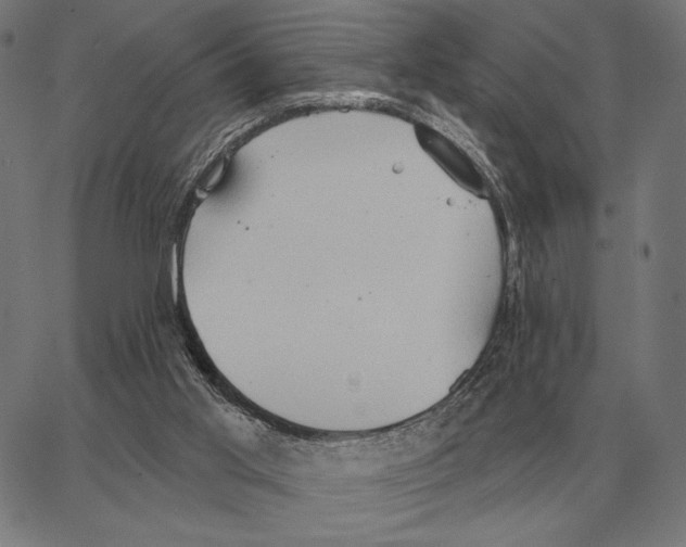 X0000062890013200602101753