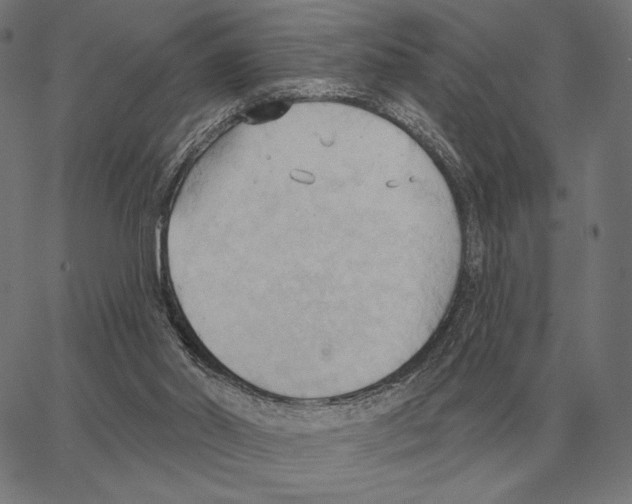 X0000062890014200602101753