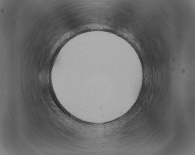 X0000062890015200602101752