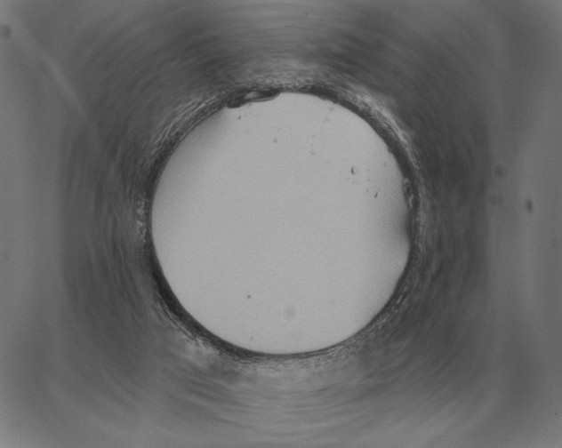 X0000062890017200602101752