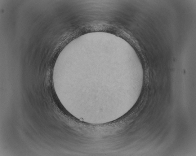 X0000062890018200602101752