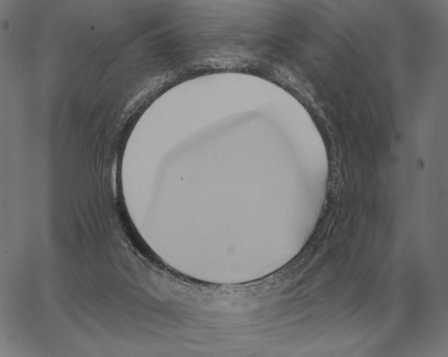 X0000062890019200602101752