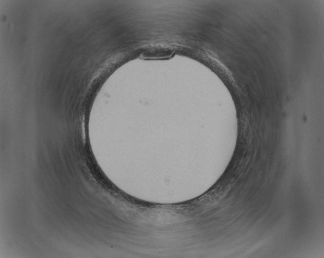 X0000062890020200602101752