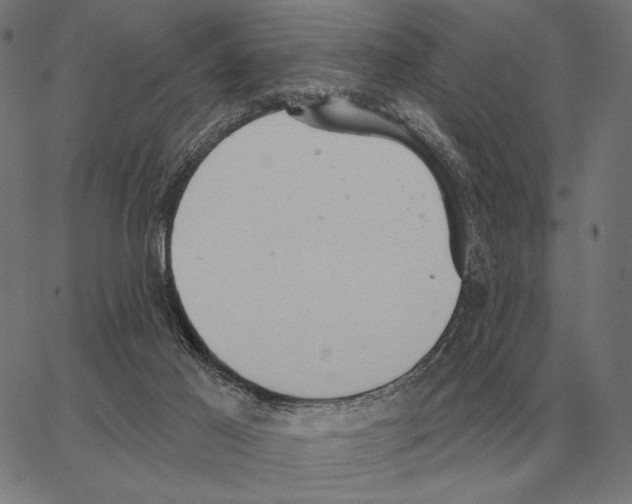 X0000062890021200602101752