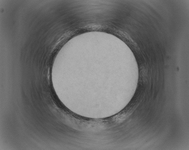 X0000062890024200602101752