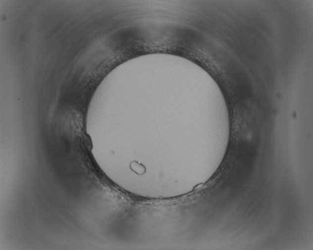 X0000062890025200602101752