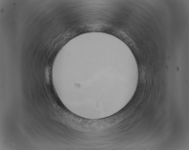 X0000062890026200602101752