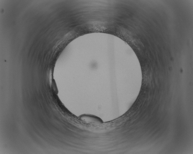 X0000062890027200602101752