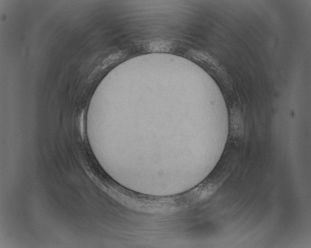 X0000062890028200602101752