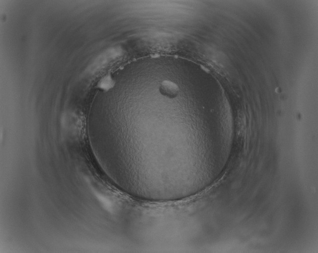 X0000062890029200602101752