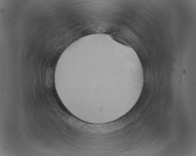 X0000062890030200602101752