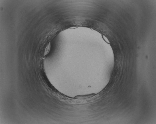 X0000062890031200602101752