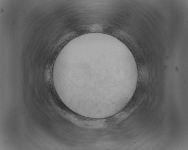 X0000062890032200602101752