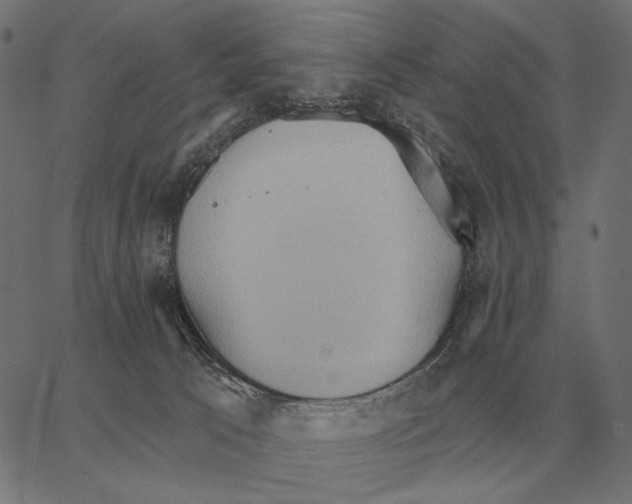 X0000062890033200602101752