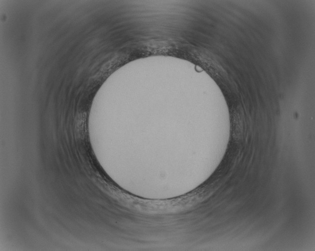 X0000062890034200602101752