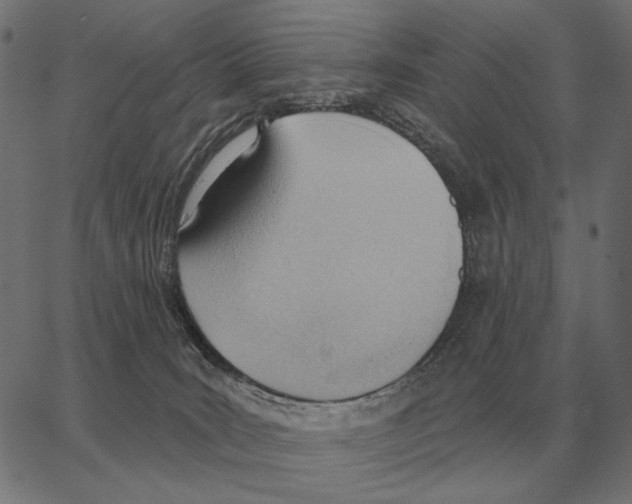 X0000062890035200602101752