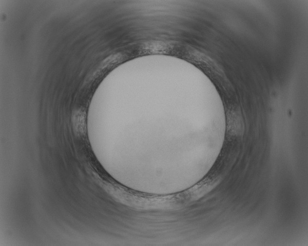 X0000062890036200602101752