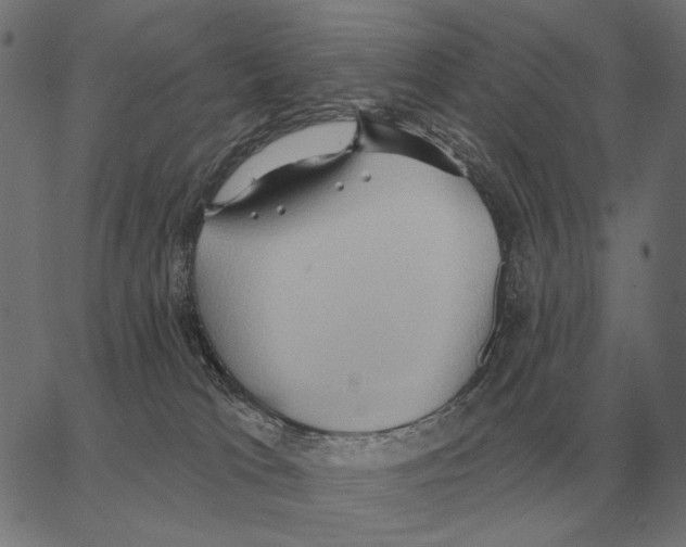 X0000062890037200602101752