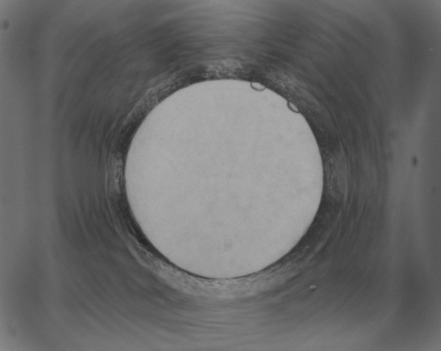 X0000062890038200602101752