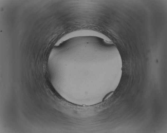 X0000062890039200602101752