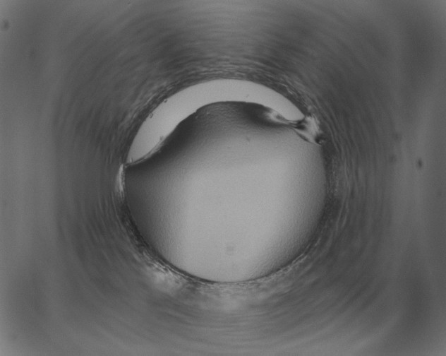 X0000062890041200602101752