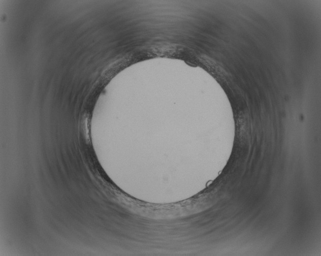 X0000062890042200602101752