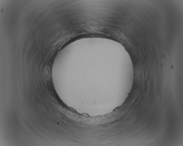 X0000062890043200602101752