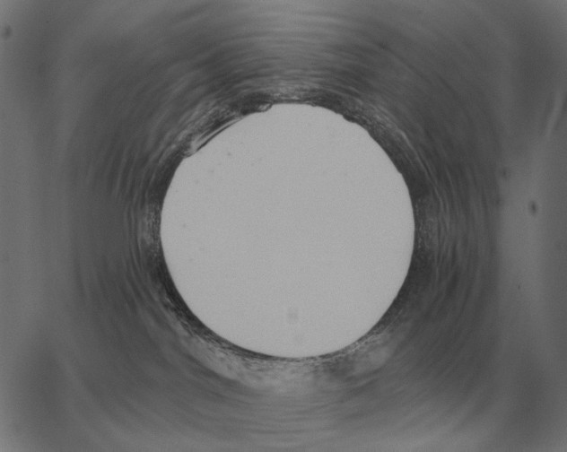 X0000062890044200602101752