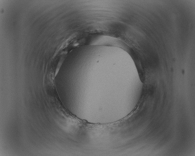 X0000062890045200602101752