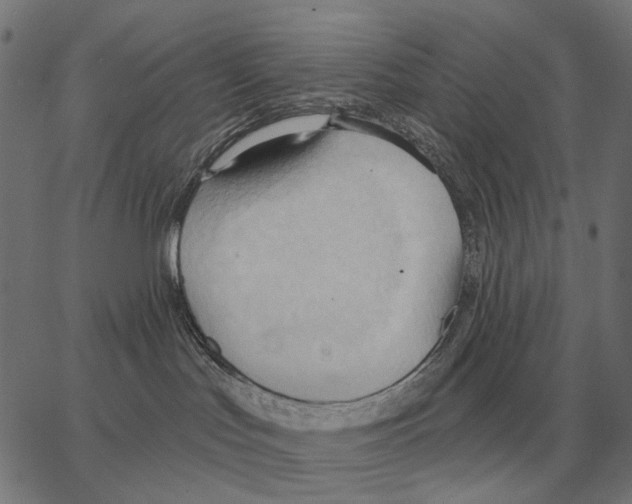 X0000062890047200602101752