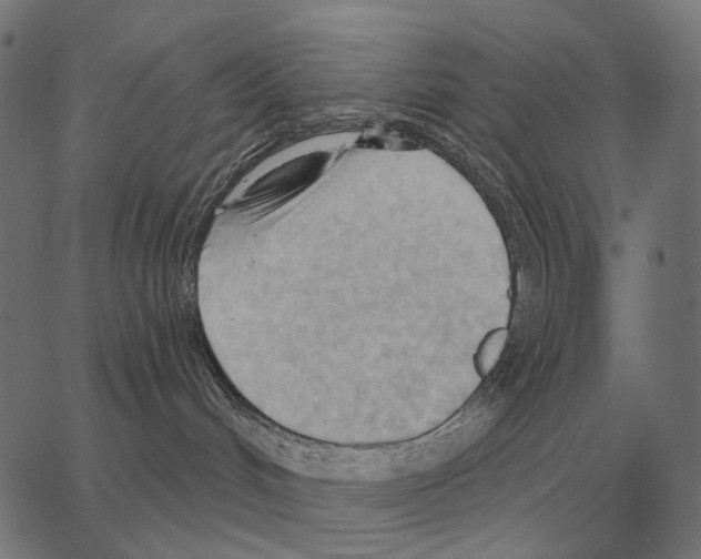 X0000062890048200602101752