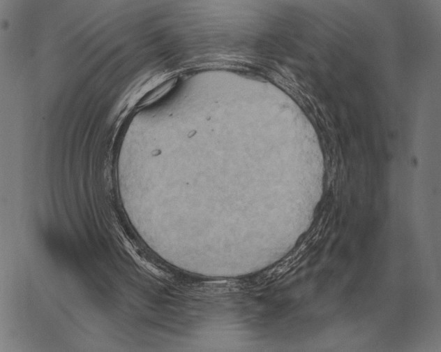 X0000062890050200602101751