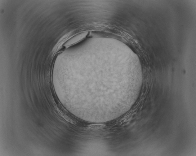 X0000062890051200602101751