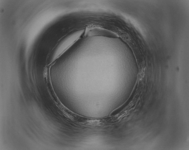 X0000062890052200602101751