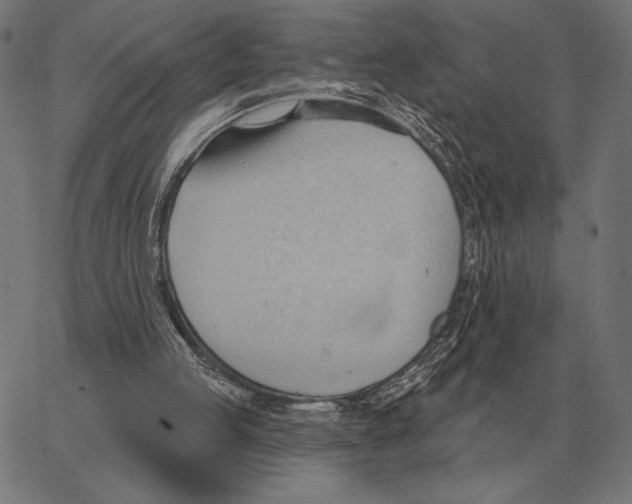 X0000062890053200602101751