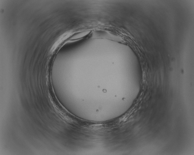 X0000062890054200602101751