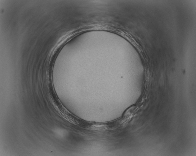 X0000062890055200602101751