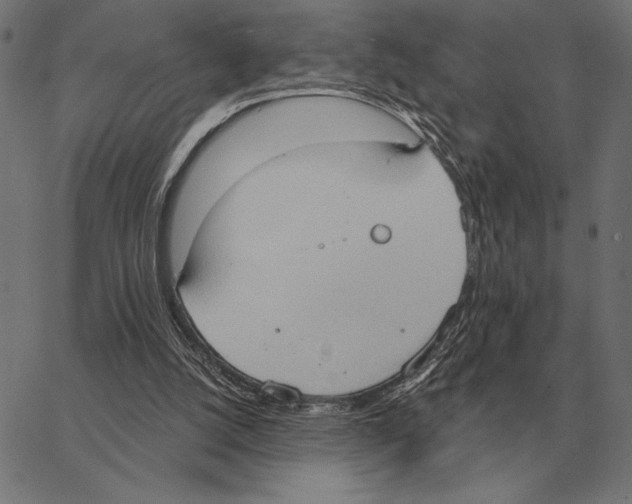 X0000062890056200602101751