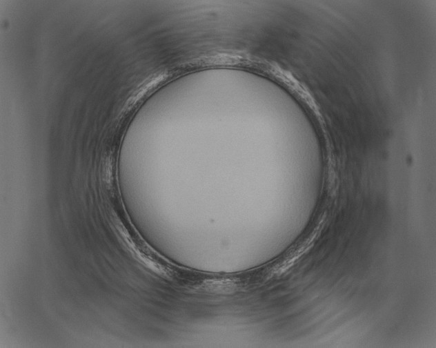 X0000062890057200602101751