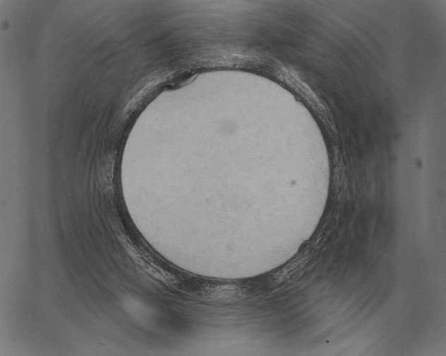 X0000062890058200602101751